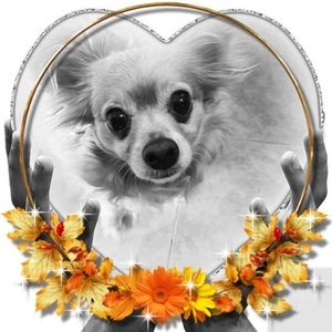 Meet your Posher, Jan